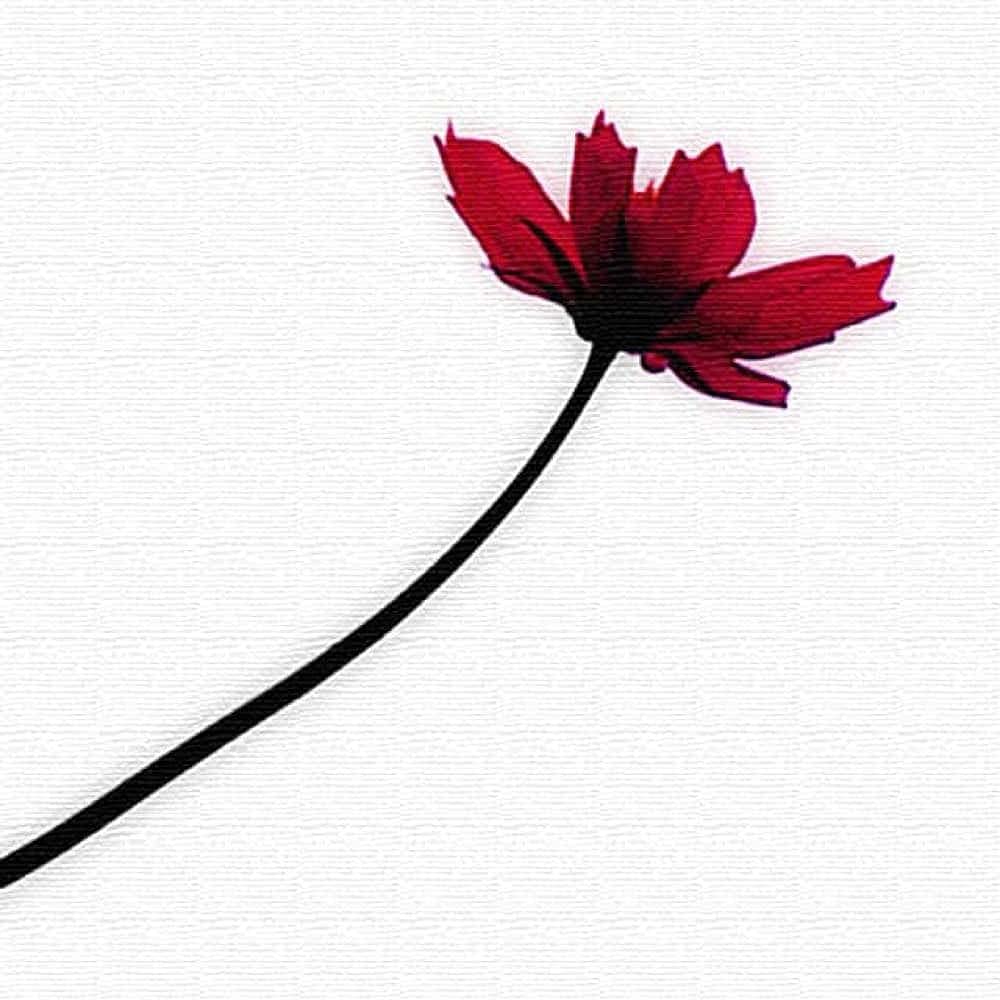 Amazon.co.jp: 花 植物 アートパネル 57cm × 57cm Lサイズ 日本製